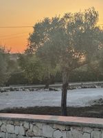 Alojamiento - Farfalla Blu