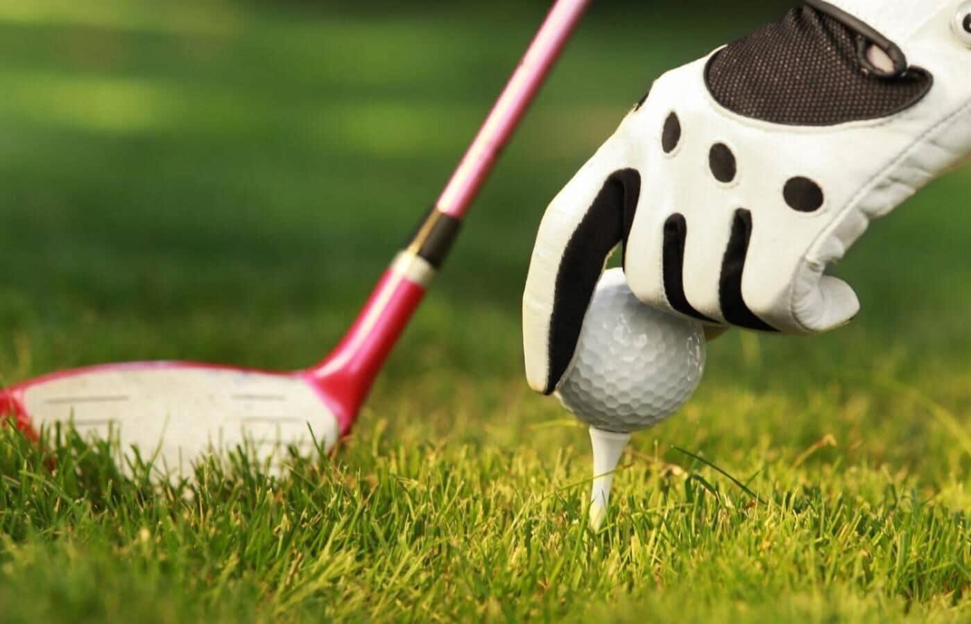 Campo de Golf Hampshire Avenarius