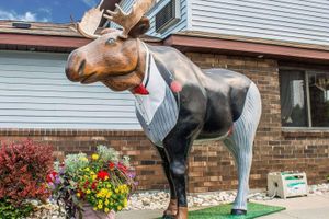 Alojamiento - Comfort Inn Manistique