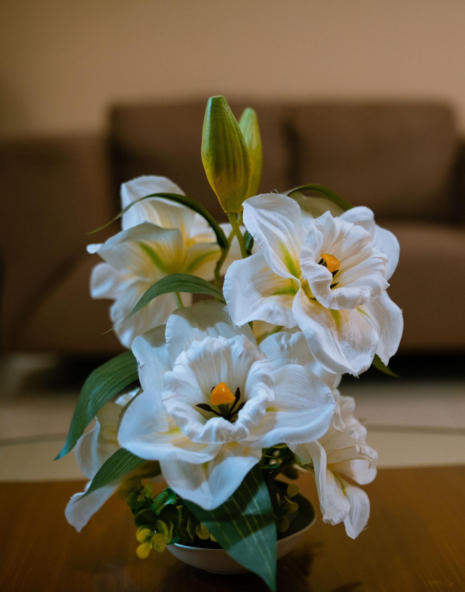 Habitación Crismon Hotel