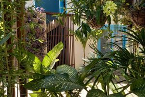 Alquiler Vacacional - Residencial Casa Flor Atelier Botânico, Ponta Negra