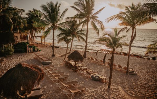 Hotel Petit Lafitte - Hoteles cerca de Parque Xcaret, México en Playa del Carmen