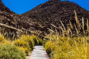 Actividad - Excursión a las termas de Puritama