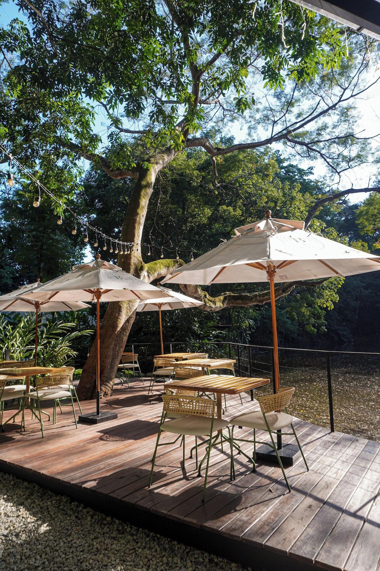 Restaurant Hotel Banyan Doradal
