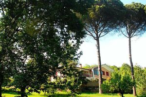 Alojamiento - B&B Il Ciliegio