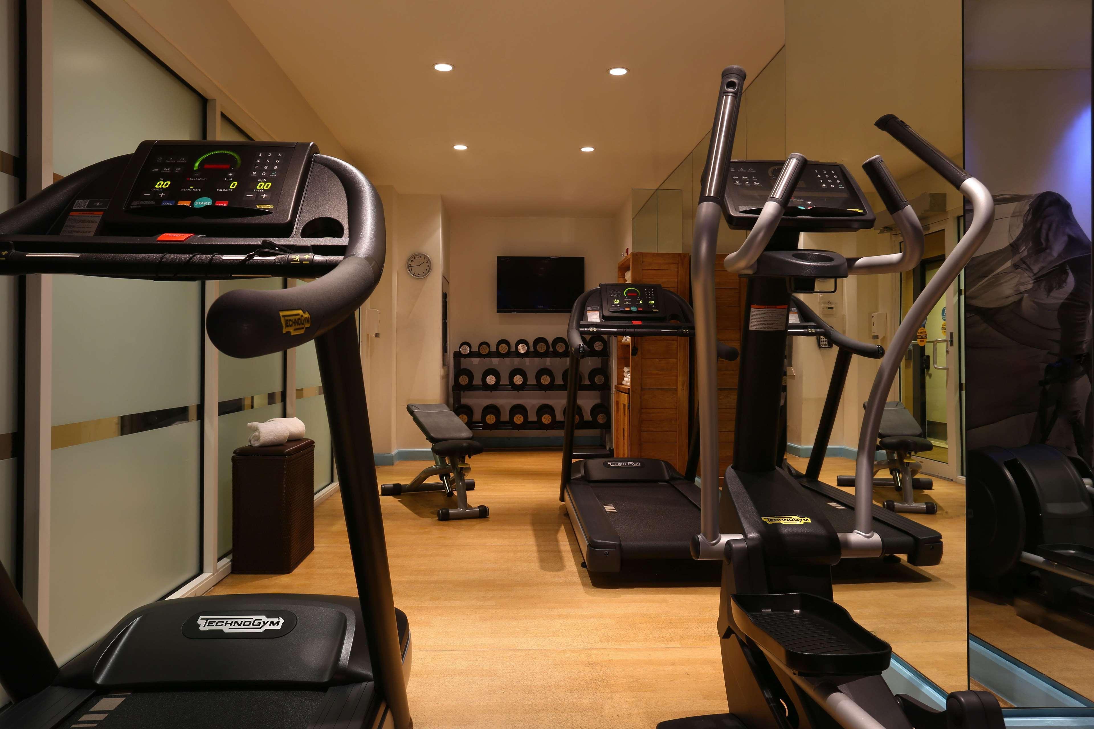 Instalaciones Recreativas Hotel Hayden