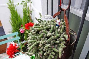 Alojamiento - Casa de Huéspedes Santa María - Adults Only