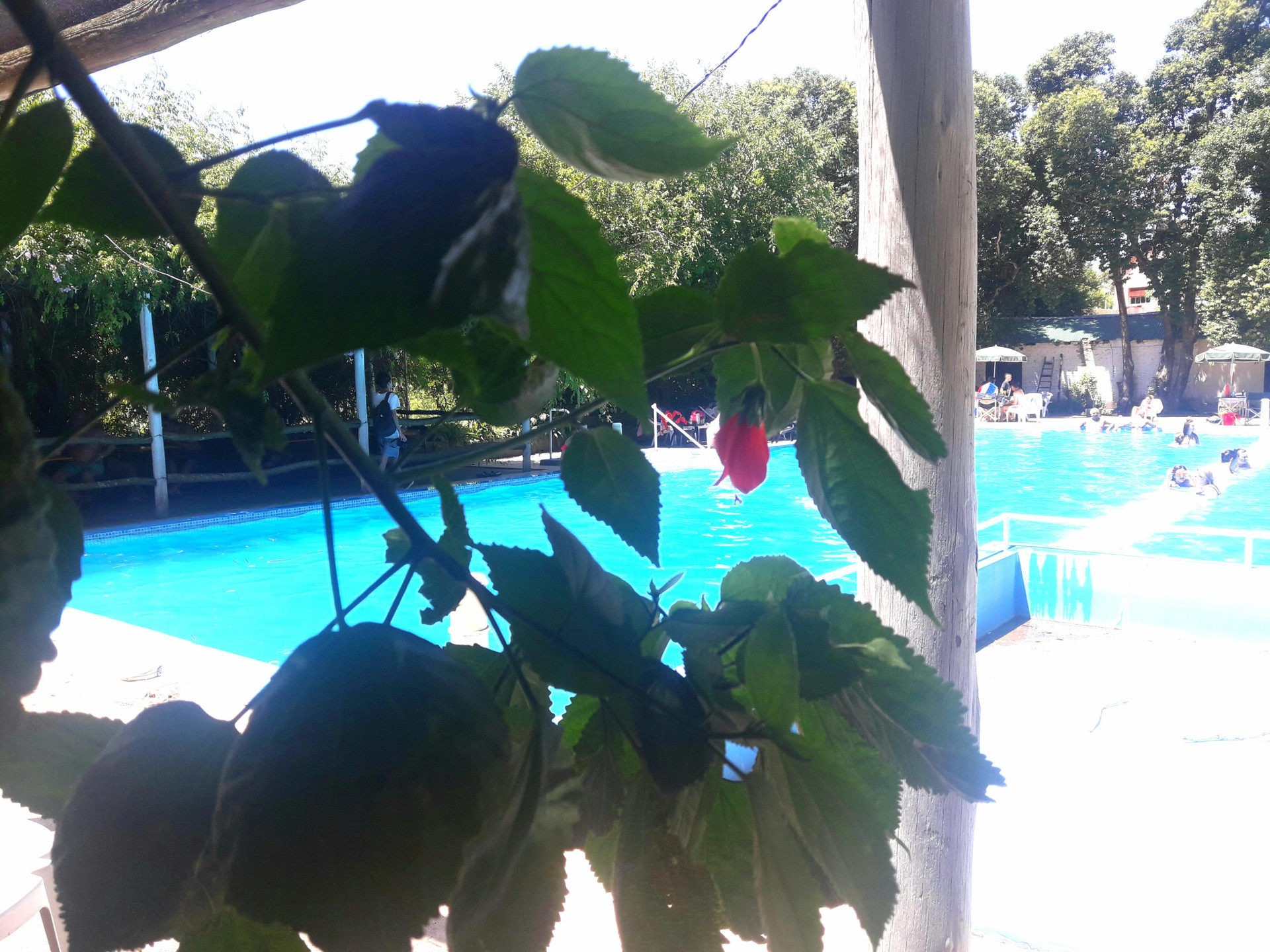 Vista Piscina El Molino - Complejo Turístico