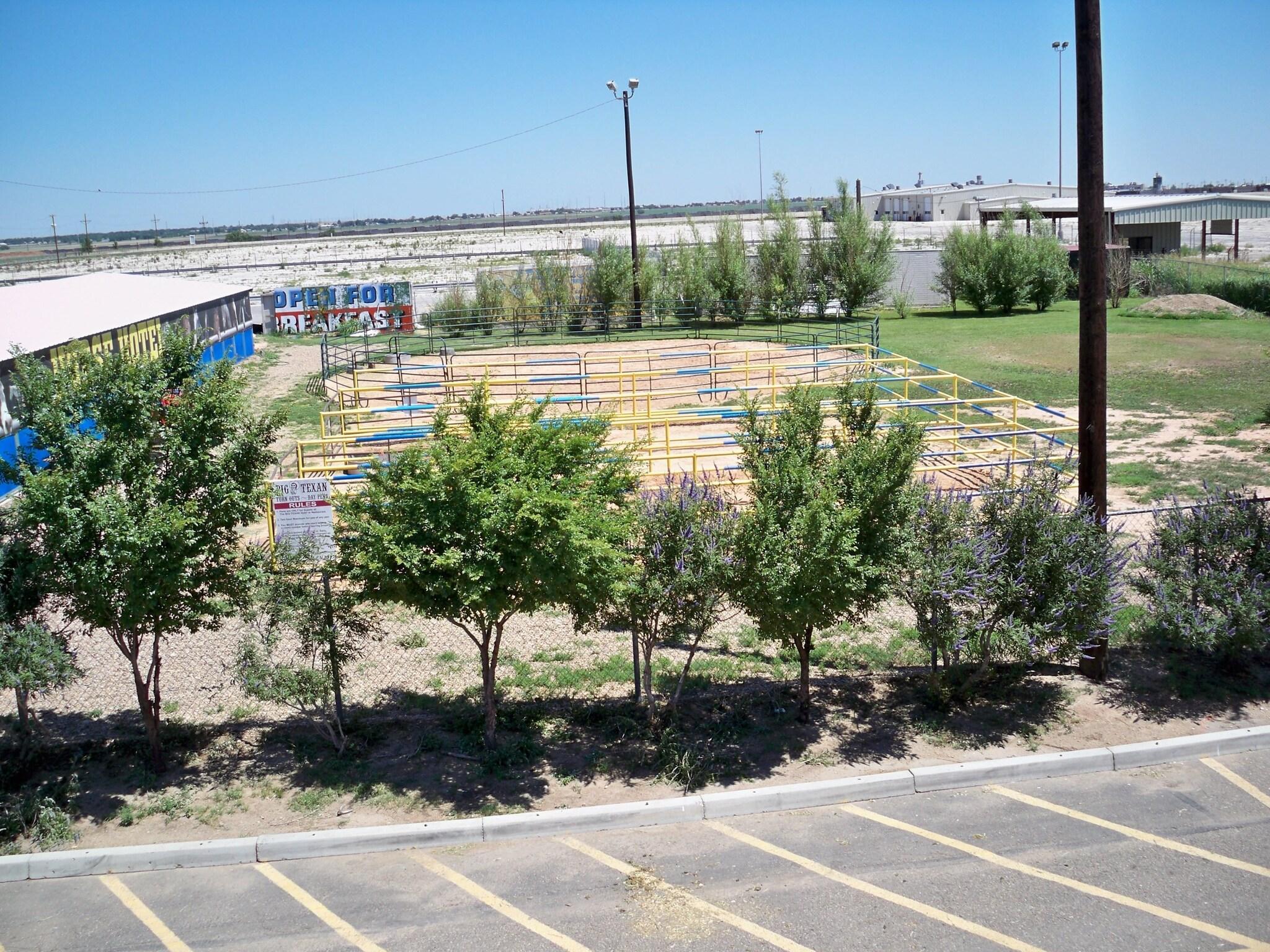 Instalaciones Recreativas The Big Texan Motel