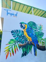 Alojamiento - Tropical Hostel Santa Marta