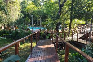 Alojamiento - Selva de Laurel