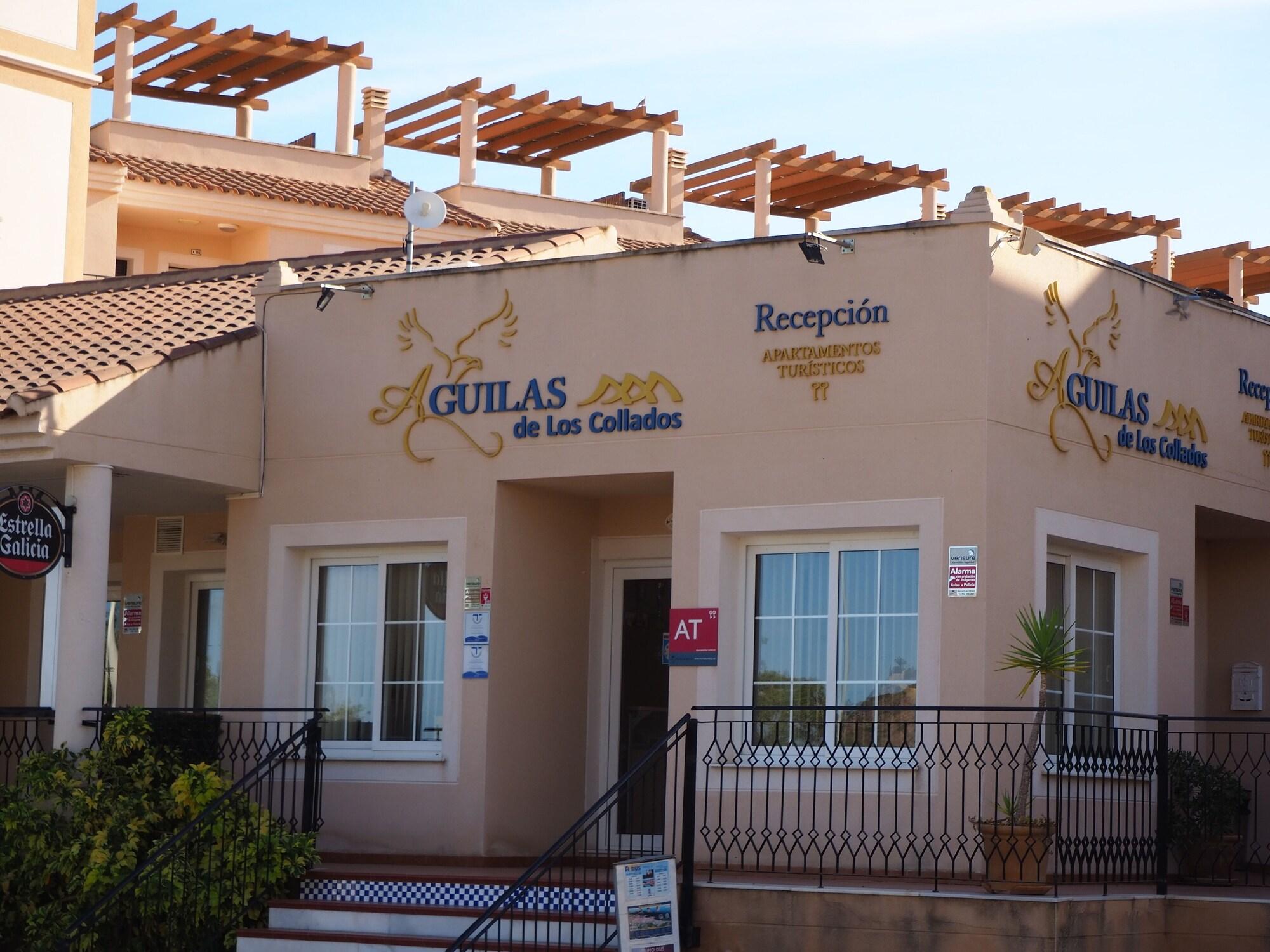 Vista Lobby Aguilas de los Collados