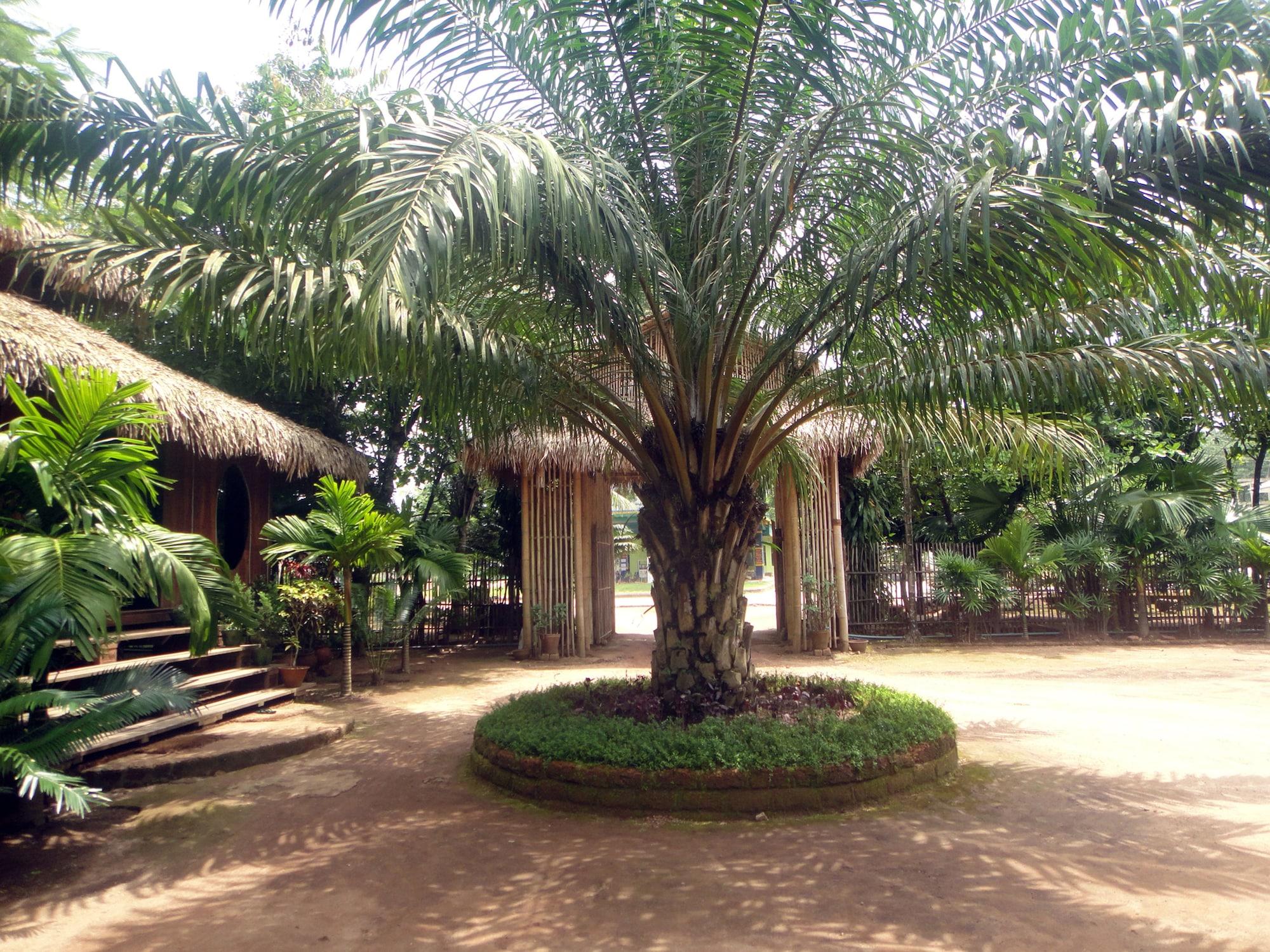 Varios Golden Sunrise Hotel