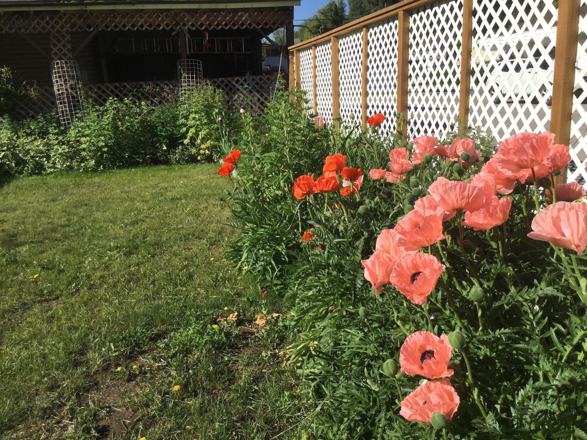 Comodidades del Alojamiento Cedars Motel