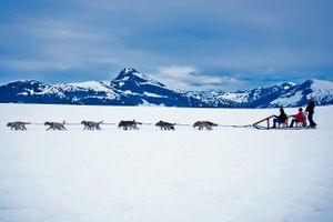 Vuelo - Vuelos a Juneau