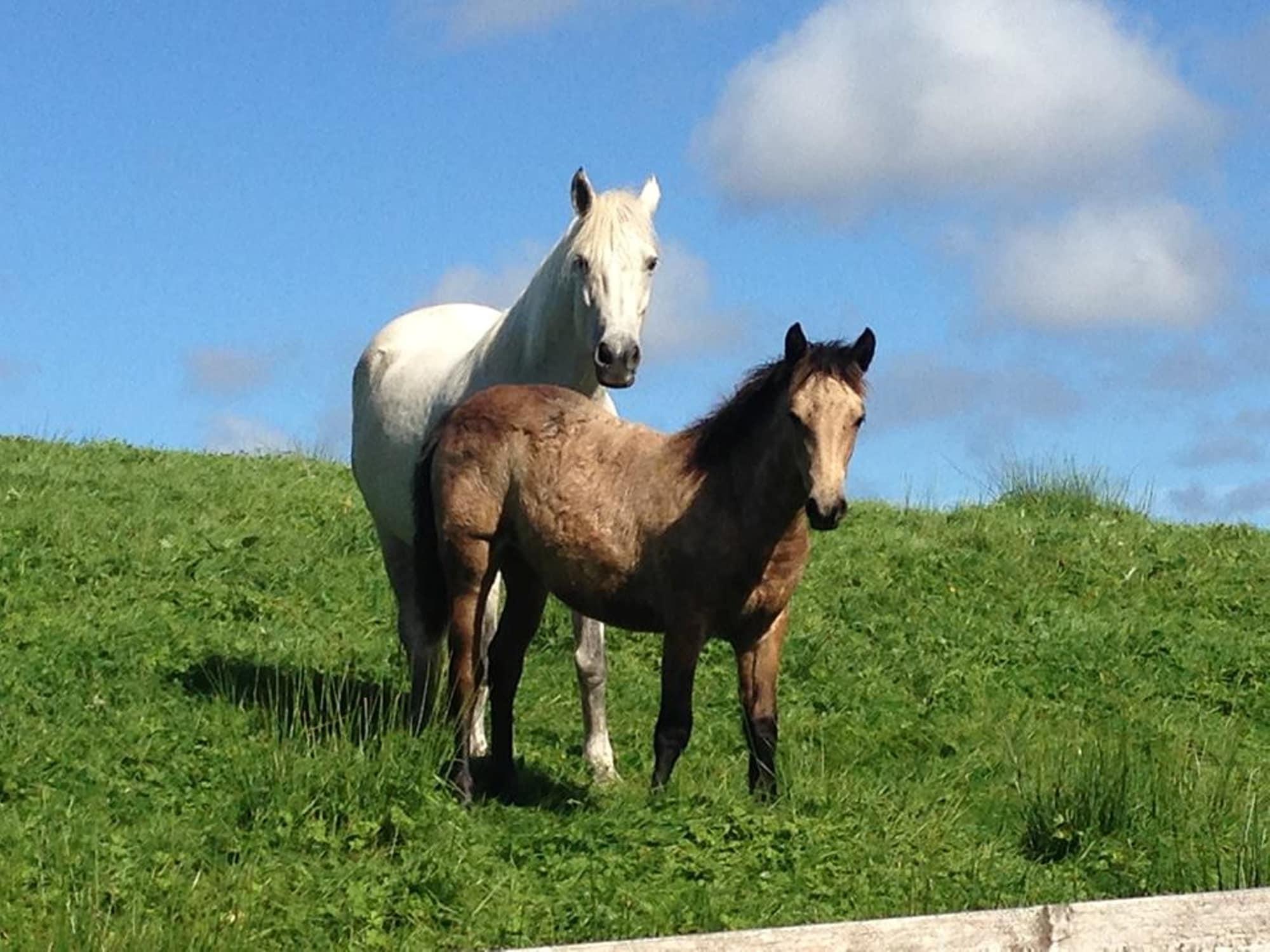 Instalaciones Recreativas Buttermilk Lodge
