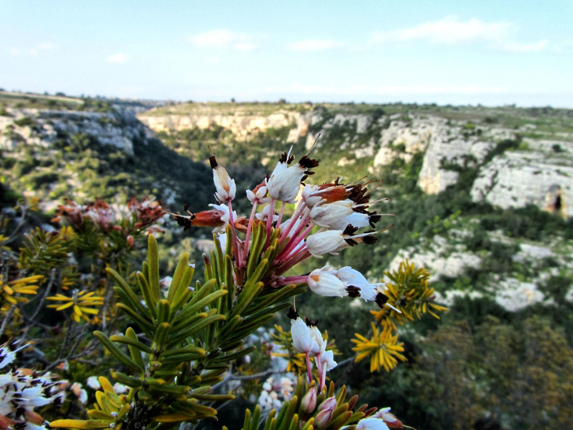 Varios Casa al Castello