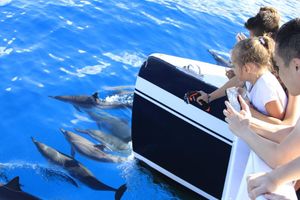 Actividad - Sol, mar y esnórquel: Aventura en catamarán por Oahu