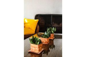 Hoteles en Valle de Bravo para Adultos