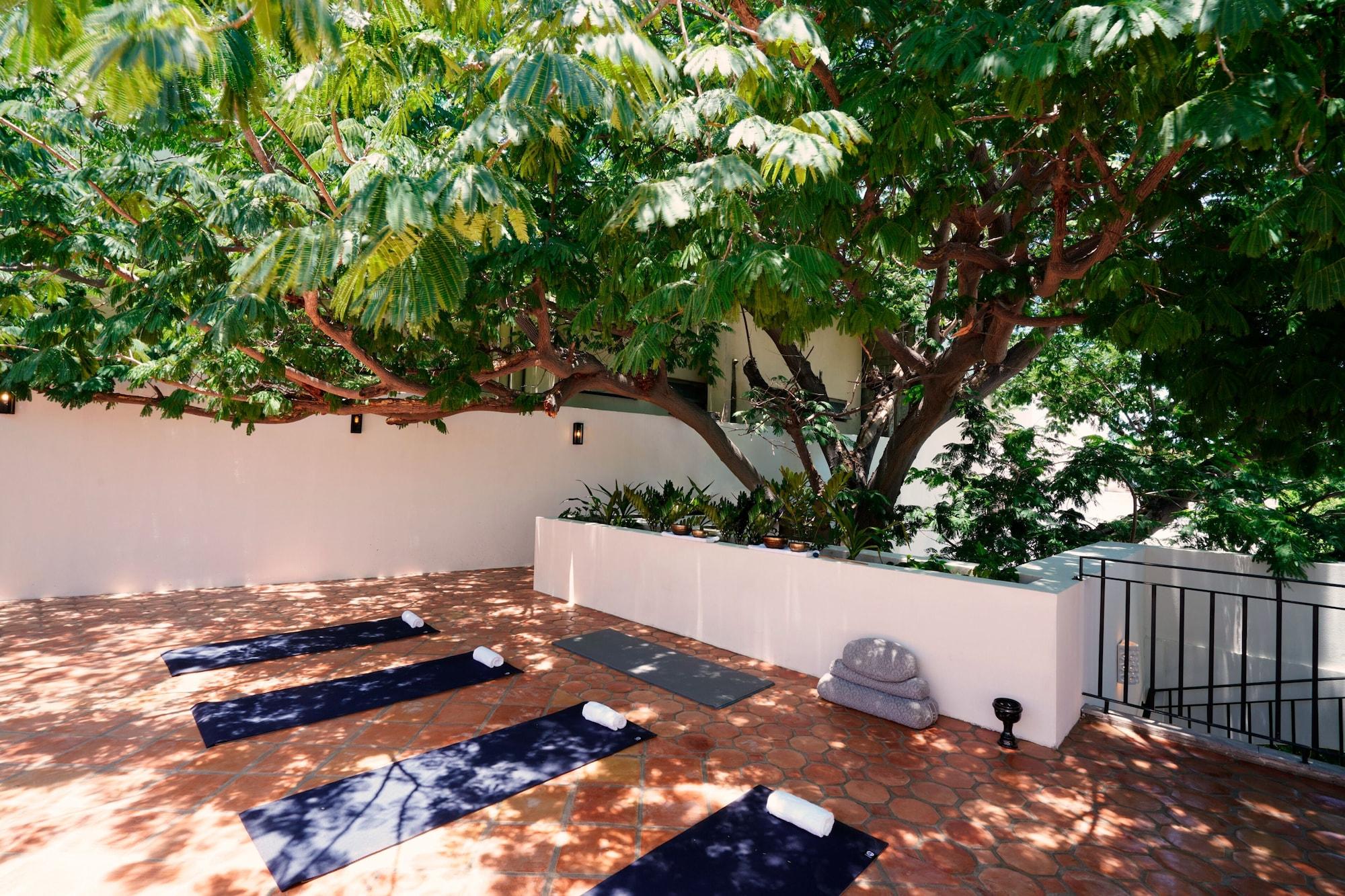 Gimnasio Tropicana Los Cabos, Tapestry Collection by Hilton