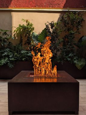 Casa Tasman - Hoteles en Condesa de Ciudad de México