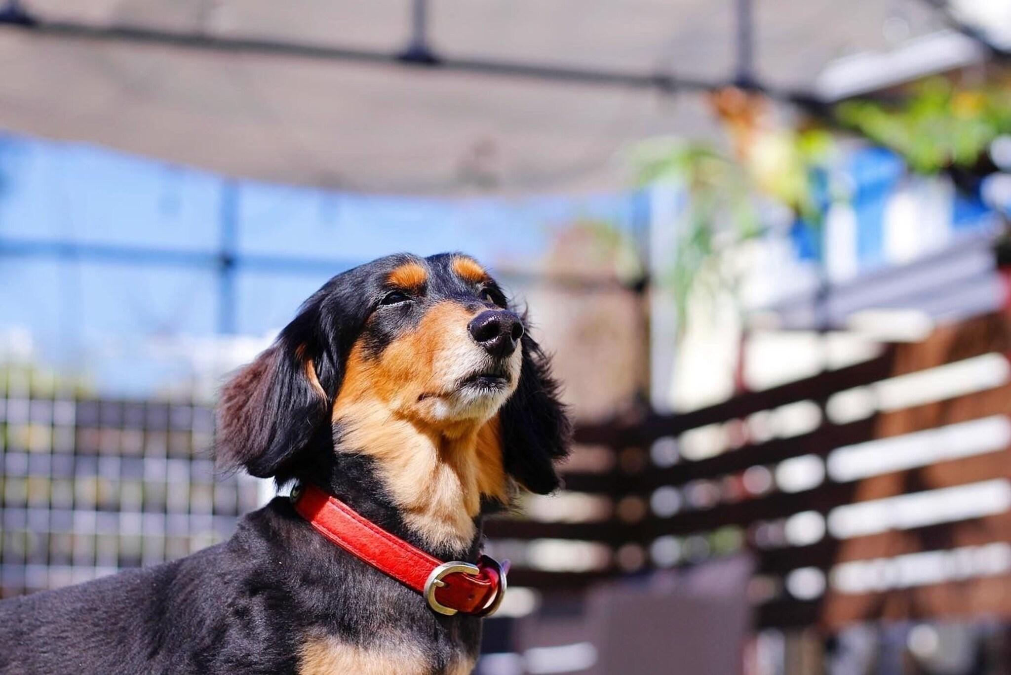 Vista Exterior Nangoku Lodge Booya