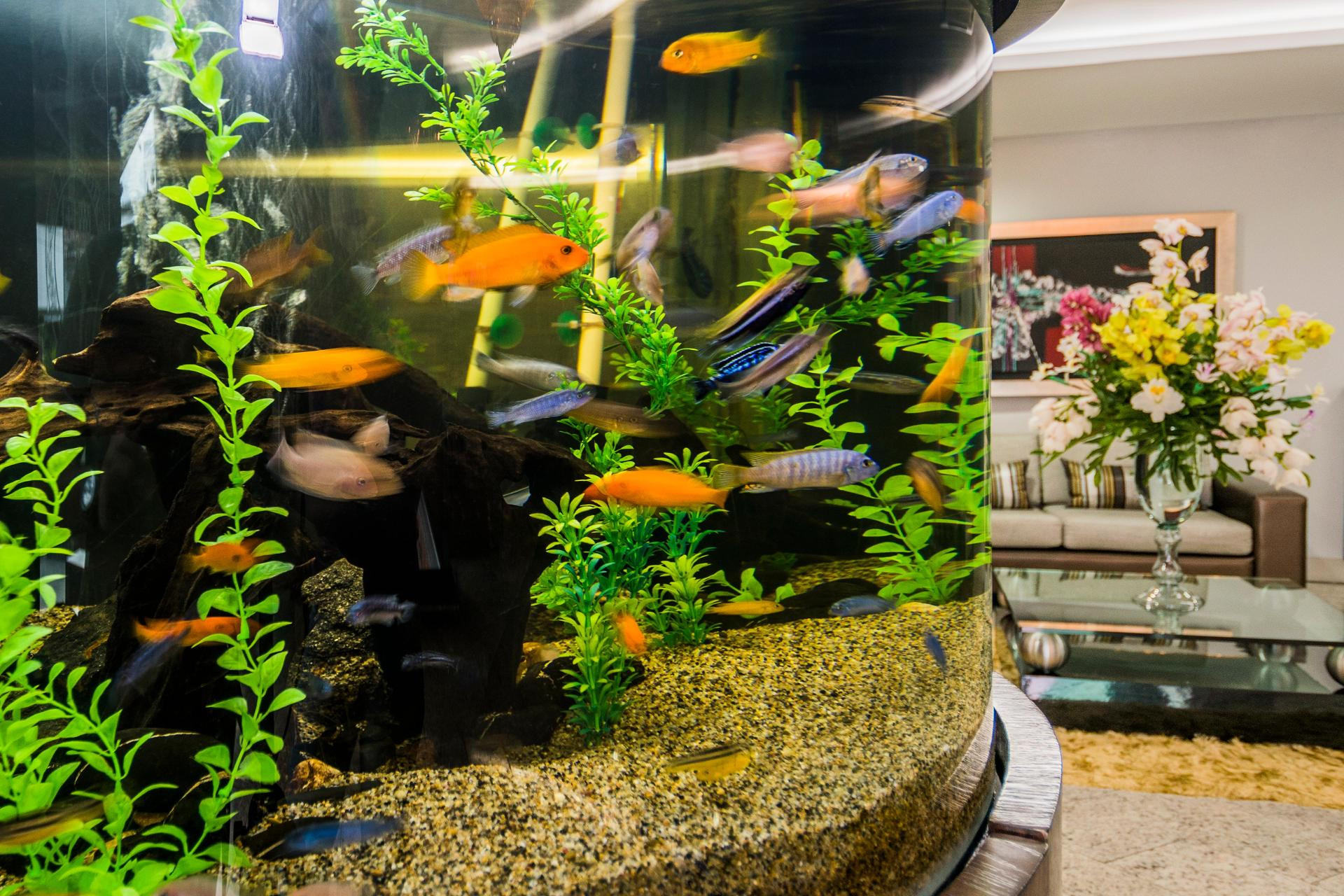 Vista Lobby Hotel Egina Medellín