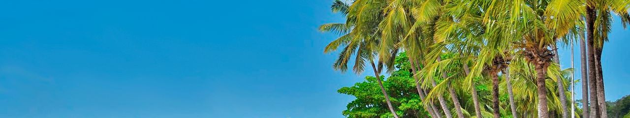 Hoteles en Joao Pessoa