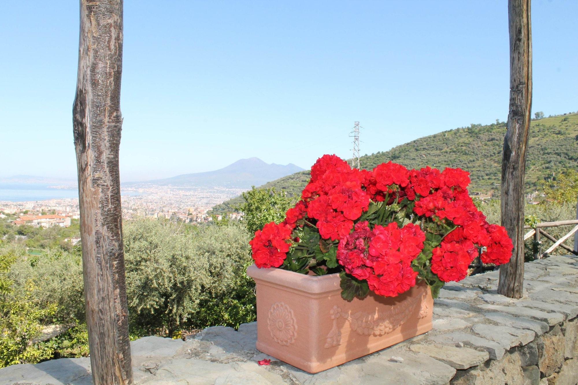 Vista Exterior Casa Scola Agriturismo