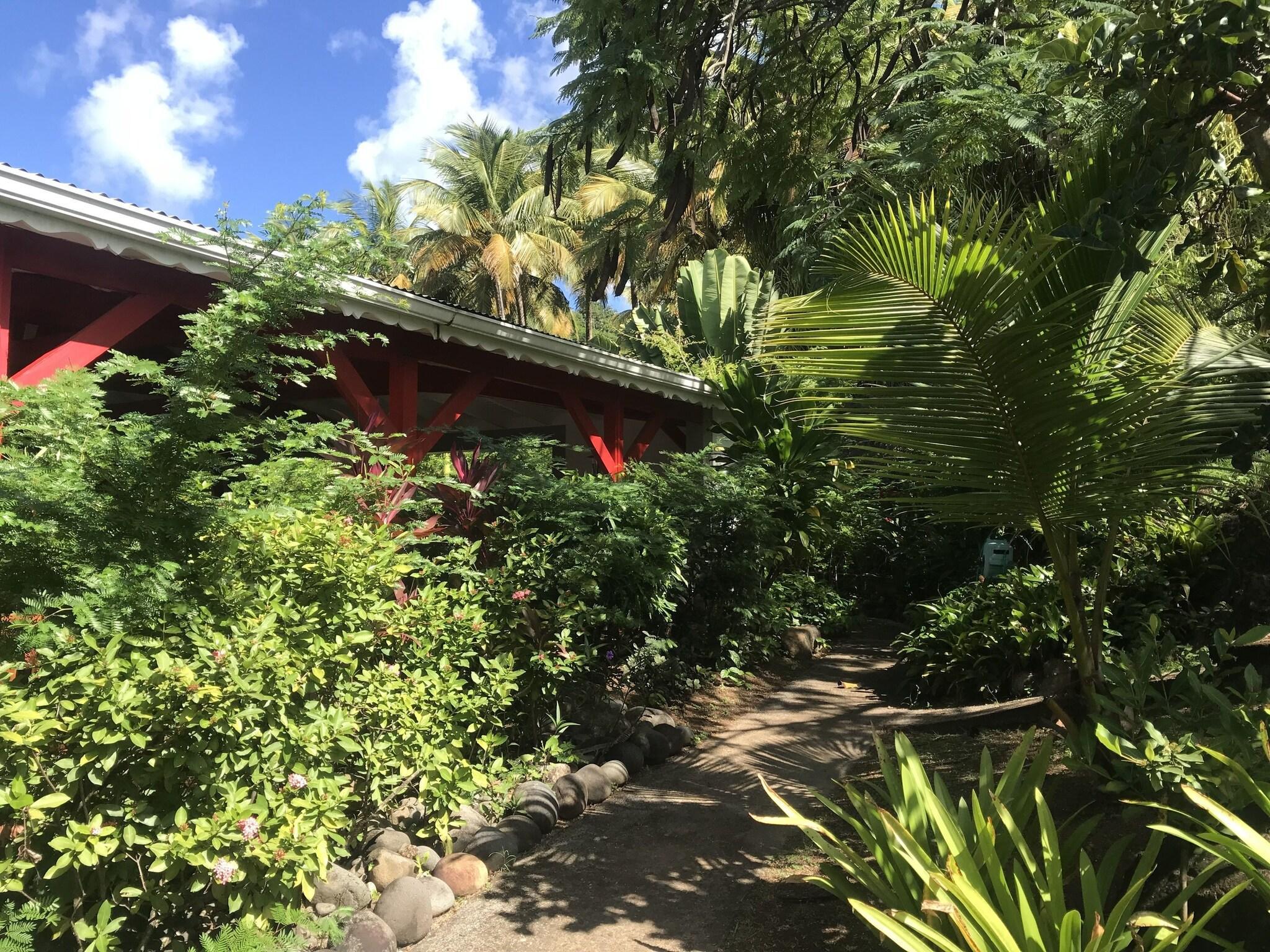 Varios Le Rayon Vert