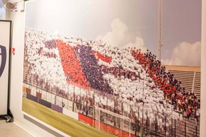 Activity - Unipol Domus Stadium Tour