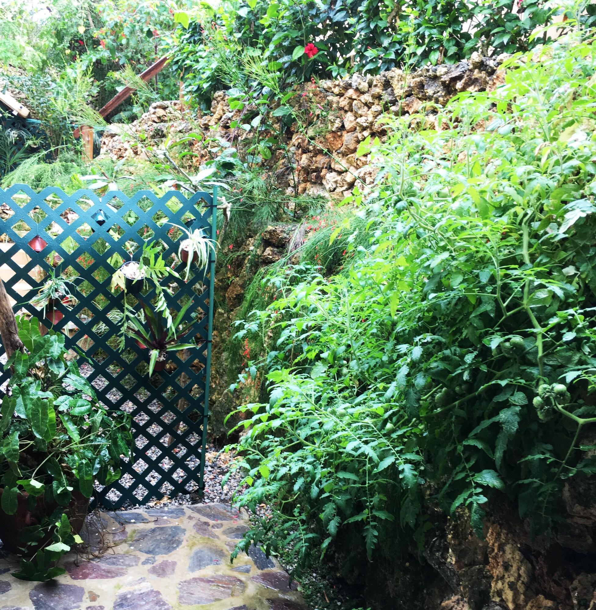 Habitación Cabrera Chalet