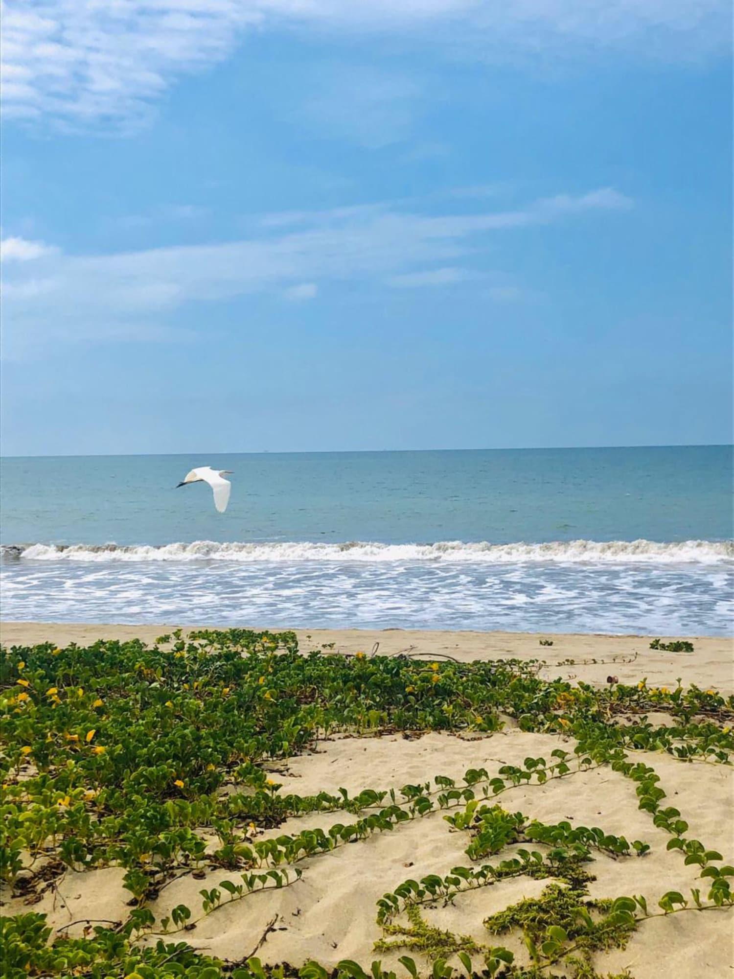 Playa Hospedaje 1249