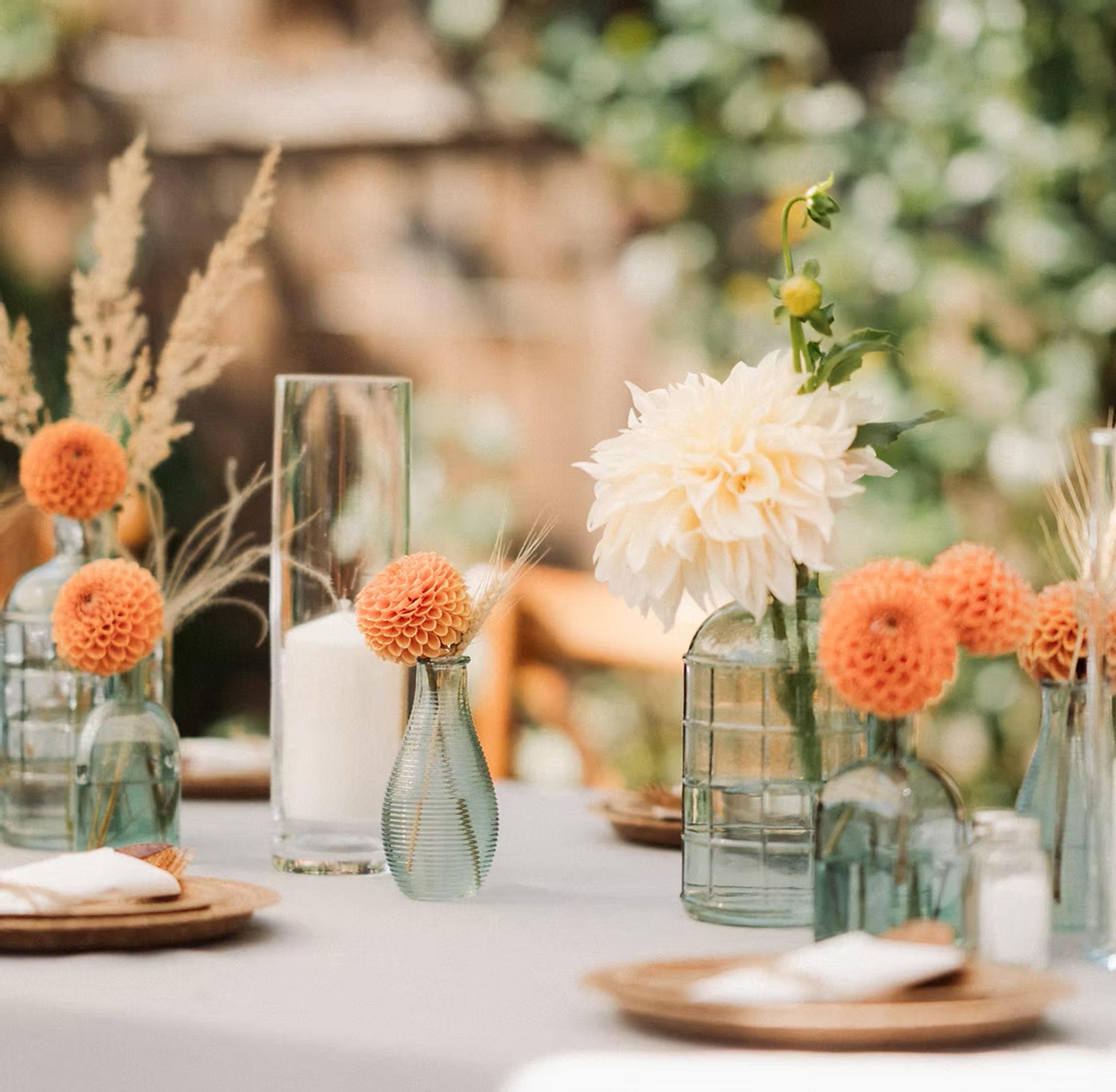 Vista Lobby Tanneneck