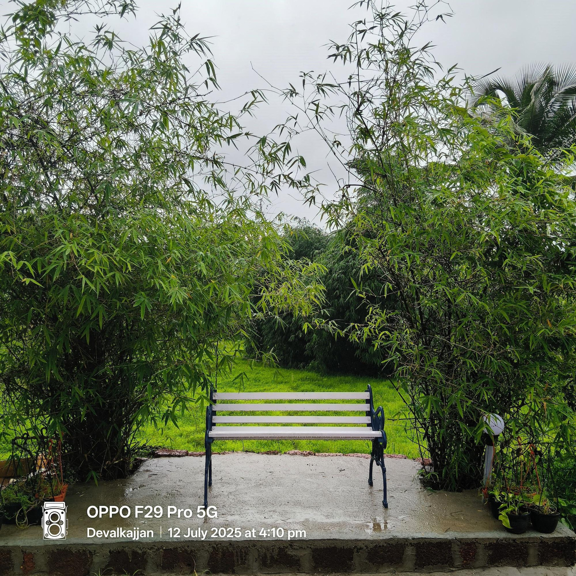 Vista Exterior De Orchid Resort