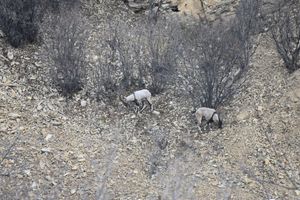 Alojamiento - Areni Lodge