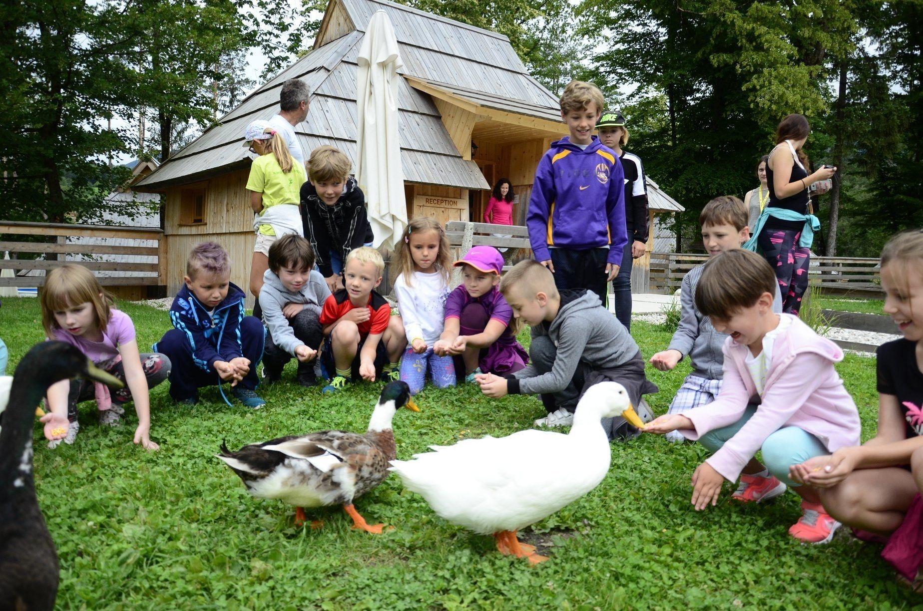 Instalaciones Recreativas Slovenia Eco Resort