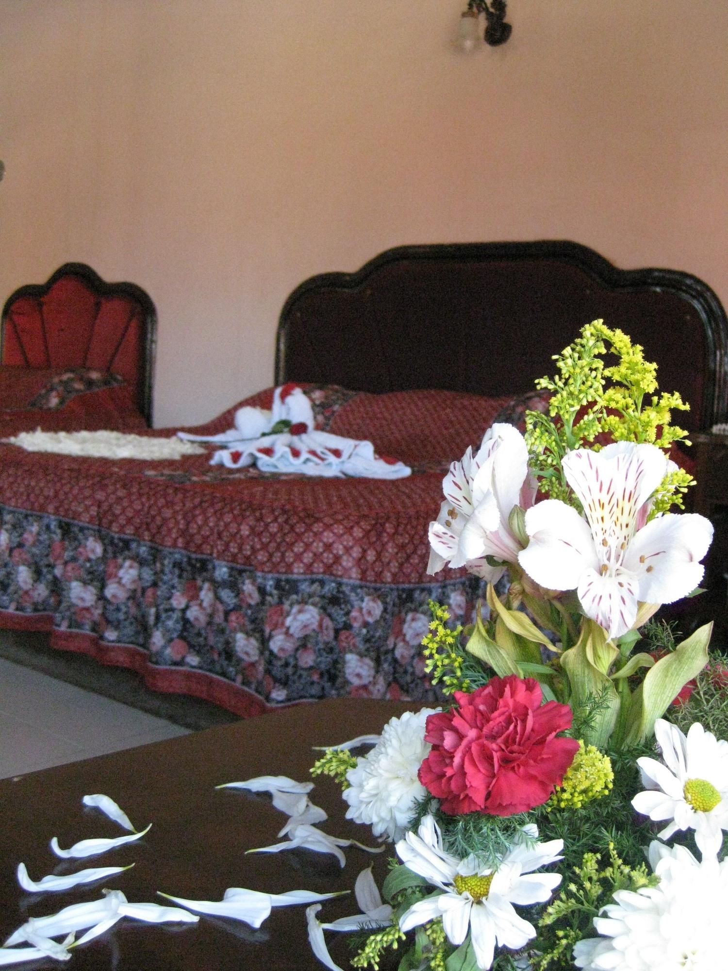 Habitación Hotel Plaza