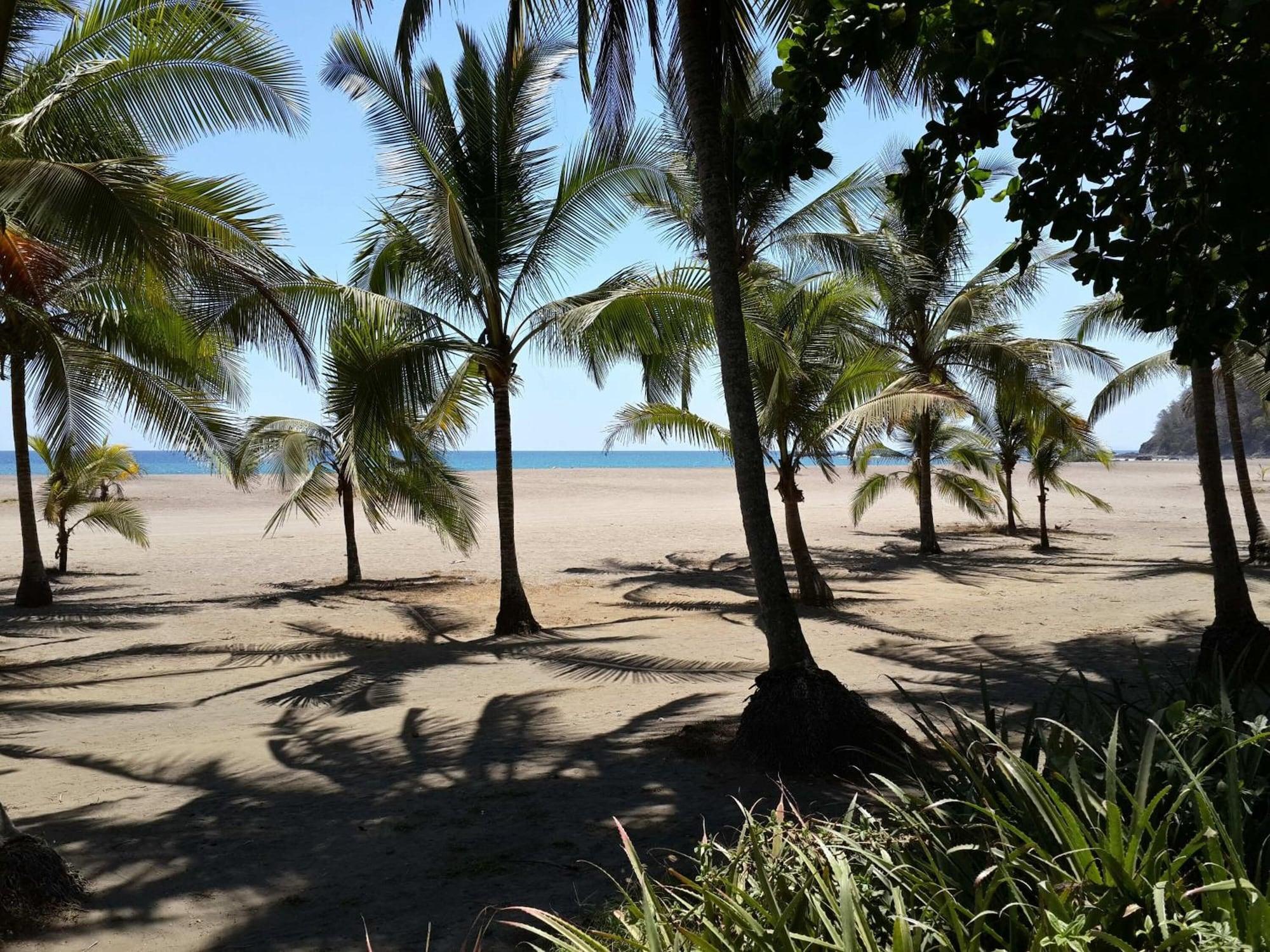 Playa Hotel Pochote Grande
