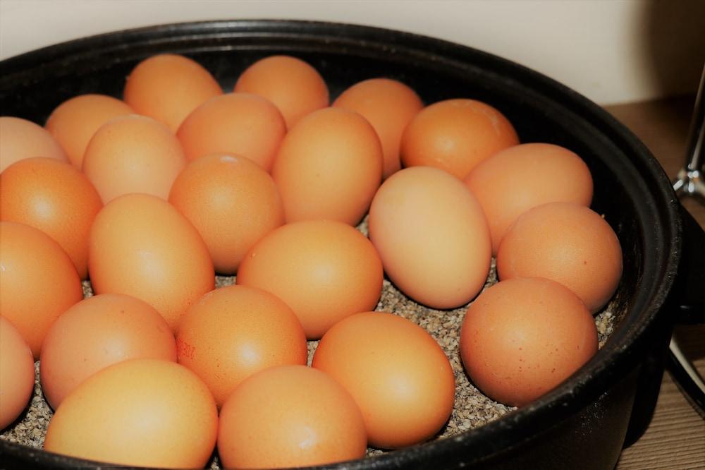 Hotel Novum Hotel Imperial Frankfurt Messe