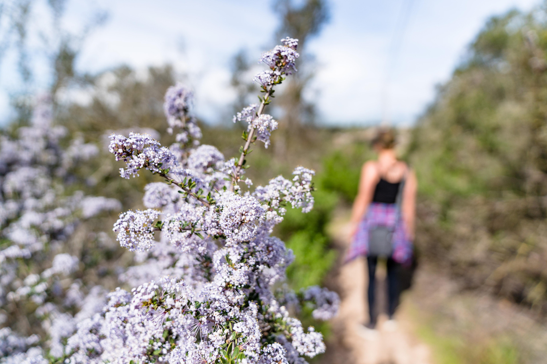 Vista Exterior Candlewood Suites Santa Maria by IHG