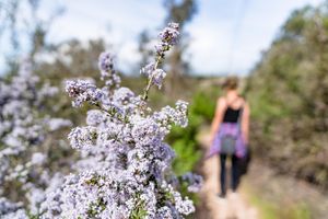 Alojamiento - Candlewood Suites Santa Maria by IHG