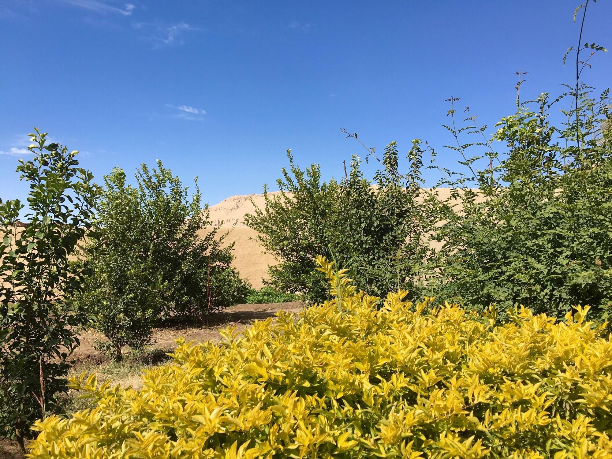 Vista Exterior New Memnon Hotel