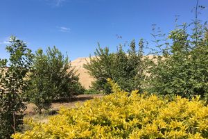 Alojamiento - New Memnon Hotel