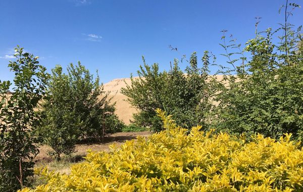 New Memnon Hotel