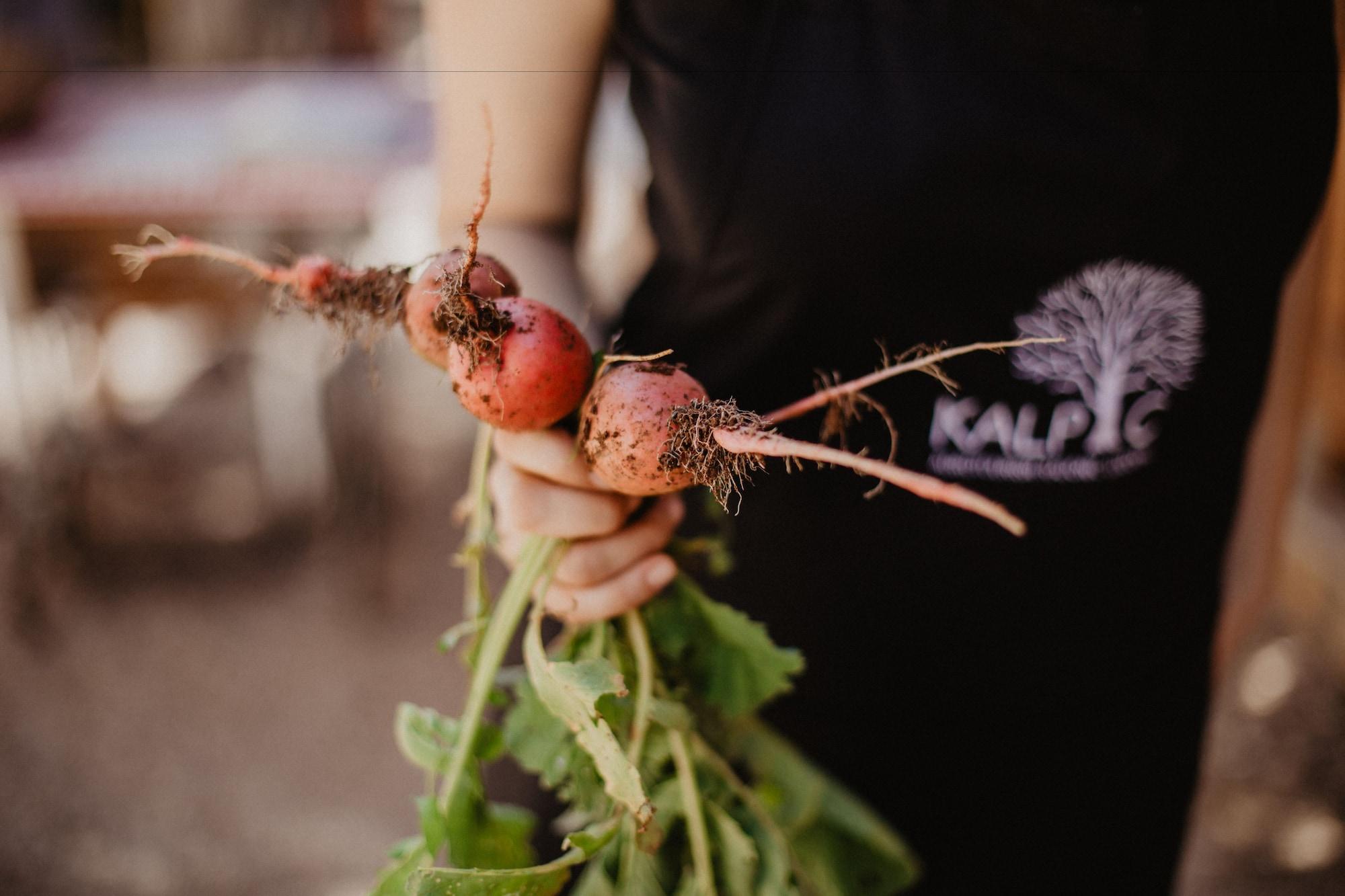 Restaurant Kalpić Suites & Villa