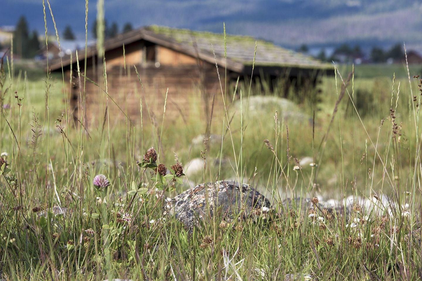 Vista Exterior Mountain Village Lodge