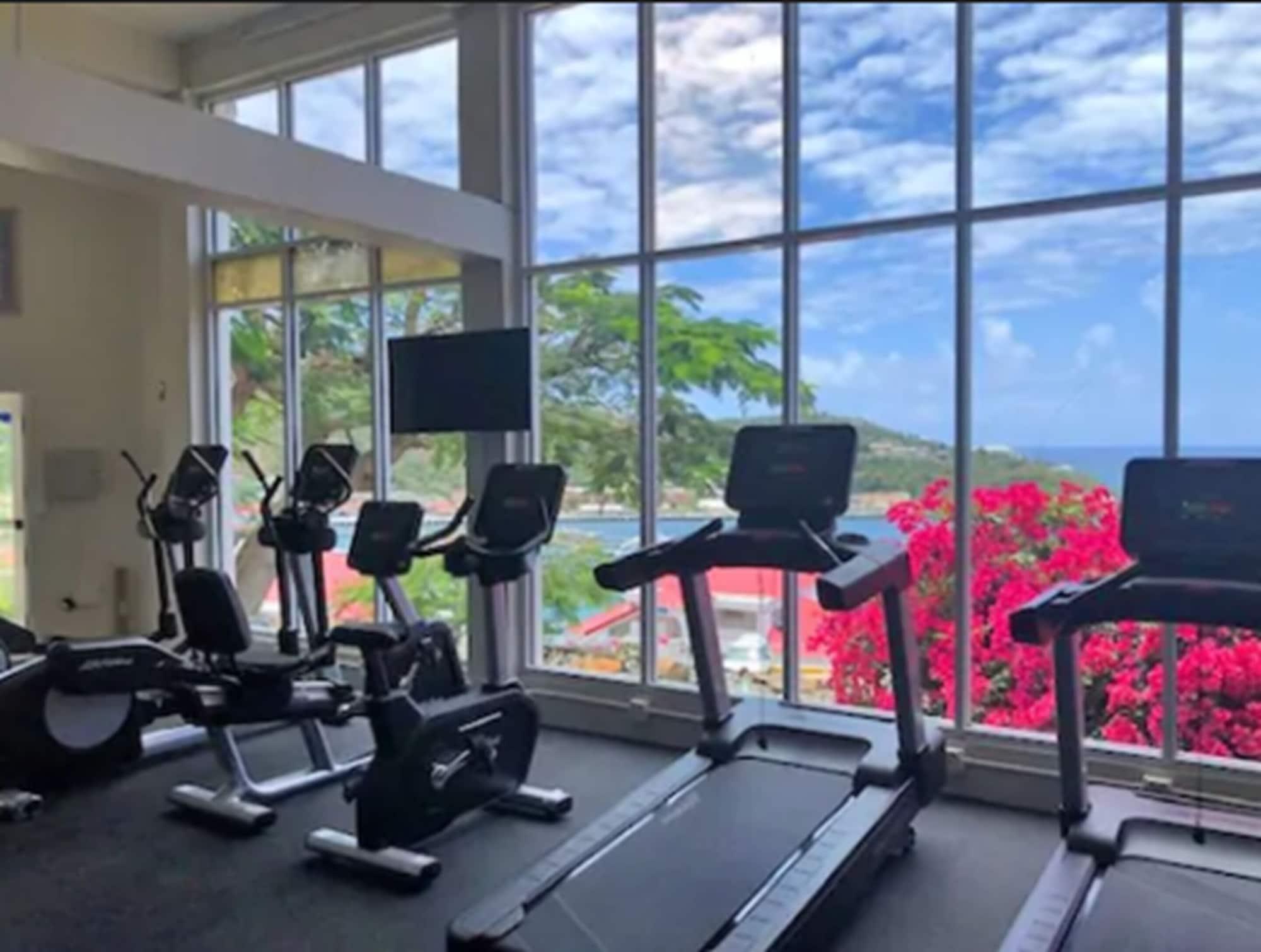 Gimnasio Hilltop Villas at Bluebeard's Castle