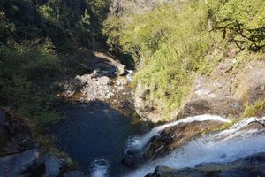 Actividad - Aventura Natural en la Cascada de Los Planes de Gualaca