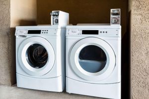 Alojamiento - Super 8 by Wyndham Lindsay Olive Tree